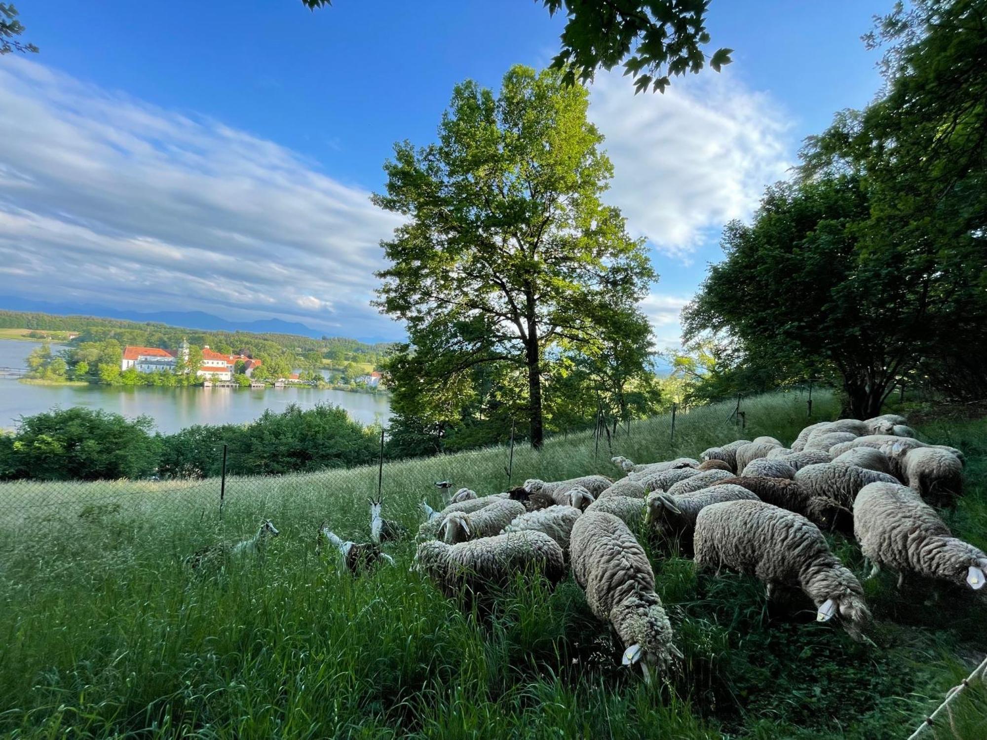 Seeblick Chiemgau, Haus Am Weinberg, 83370 Seeon Oberbayern Екстер'єр фото